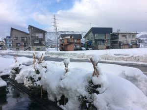 雪景色
